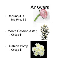 Answers Ranunculus Mid Price $$ Monte Cassino Aster Cheap $ Cushion Pomp Cheap $ 