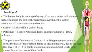 Inside you!
 The human body is made up of many of the same atoms and elements
that are found in the rest of the terrestrial environment, a certain
percentage of those atoms are radioactive.
 Carbon-14, since life is carbon-based
 Potassium-40, since Potassium forms an important part of DNA
molecules.
 The presence of radioactive Carbon-14 in living organisms actually
forms the basis of radiocarbon dating of organic material, due to the fact
that levels of C-14 in plants and animals match ambient levels in the
atmosphere at the time of their death.
 