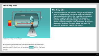 Comprehensive Introduction to Radiology: Imaging Techniques and ...