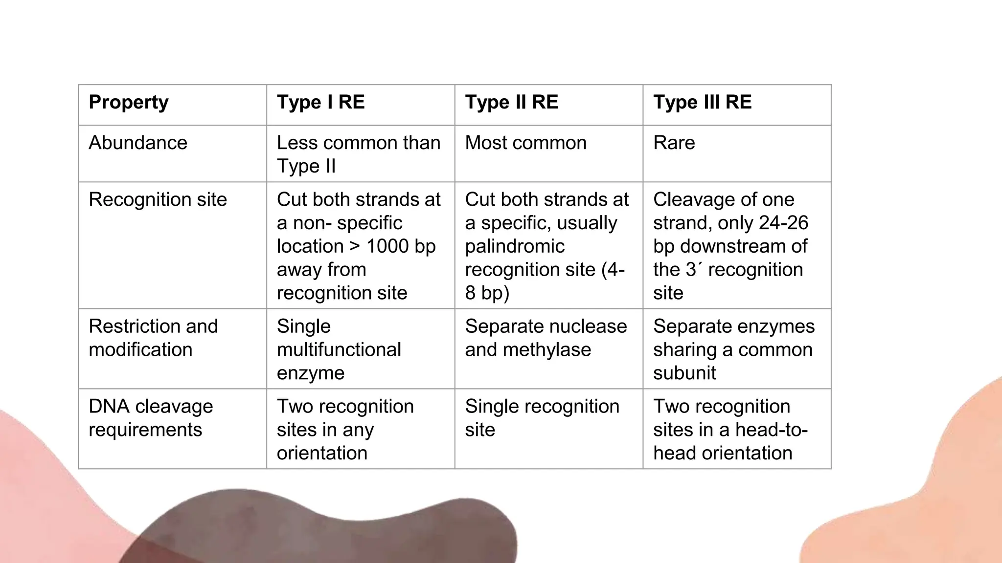 Property Type I RE Type II RE Type III RE
Abundance Less common than
Type II
Most common Rare
Recognition site Cut both strands at
a non- specific
location > 1000 bp
away from
recognition site
Cut both strands at
a specific, usually
palindromic
recognition site (4-
8 bp)
Cleavage of one
strand, only 24-26
bp downstream of
the 3´ recognition
site
Restriction and
modification
Single
multifunctional
enzyme
Separate nuclease
and methylase
Separate enzymes
sharing a common
subunit
DNA cleavage
requirements
Two recognition
sites in any
orientation
Single recognition
site
Two recognition
sites in a head-to-
head orientation
 