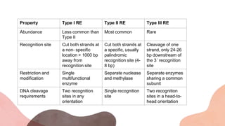 Property Type I RE Type II RE Type III RE
Abundance Less common than
Type II
Most common Rare
Recognition site Cut both strands at
a non- specific
location > 1000 bp
away from
recognition site
Cut both strands at
a specific, usually
palindromic
recognition site (4-
8 bp)
Cleavage of one
strand, only 24-26
bp downstream of
the 3´ recognition
site
Restriction and
modification
Single
multifunctional
enzyme
Separate nuclease
and methylase
Separate enzymes
sharing a common
subunit
DNA cleavage
requirements
Two recognition
sites in any
orientation
Single recognition
site
Two recognition
sites in a head-to-
head orientation
 
