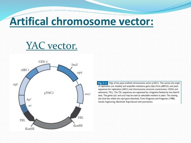 Introduction to RDT methods in genetic engineering