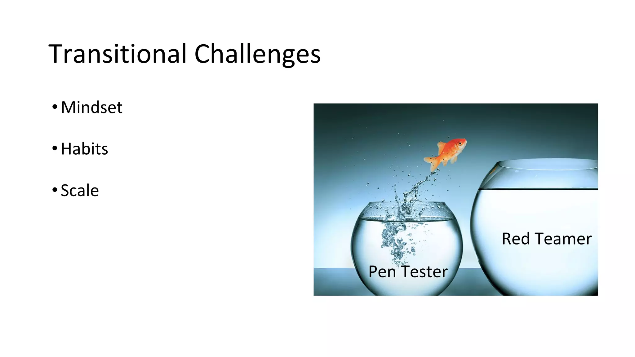 Transitional Challenges
•Mindset
•Habits
•Scale
Pen Tester
Red Teamer
 