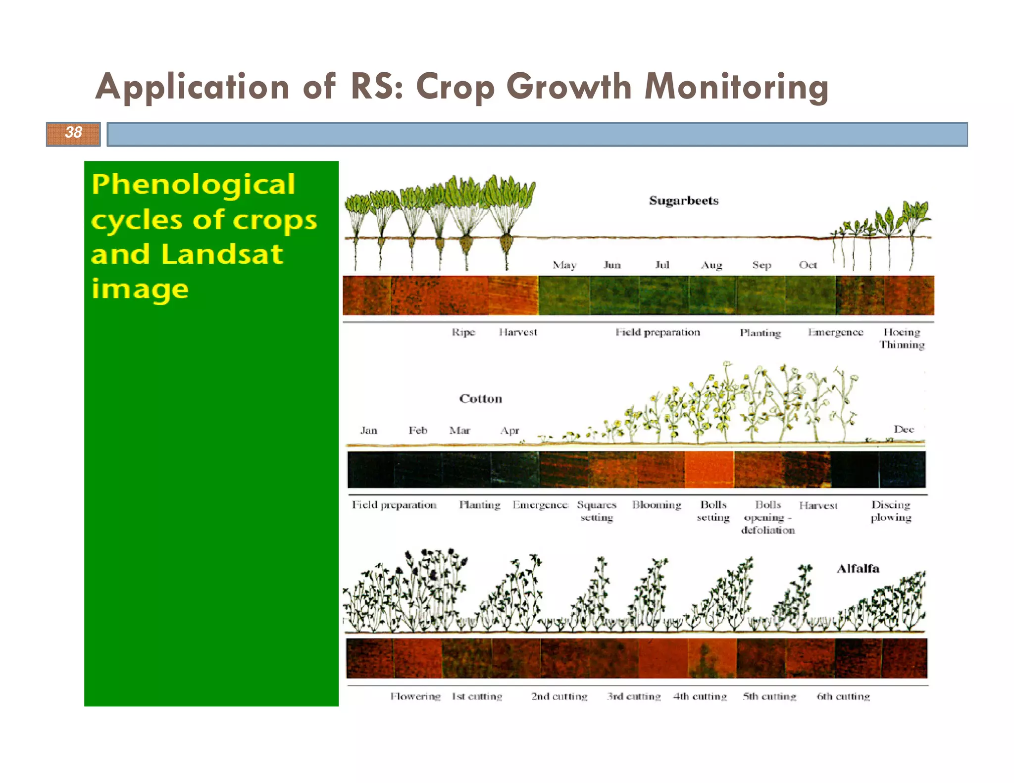 Application of RS: Crop Growth Monitoring
38
 