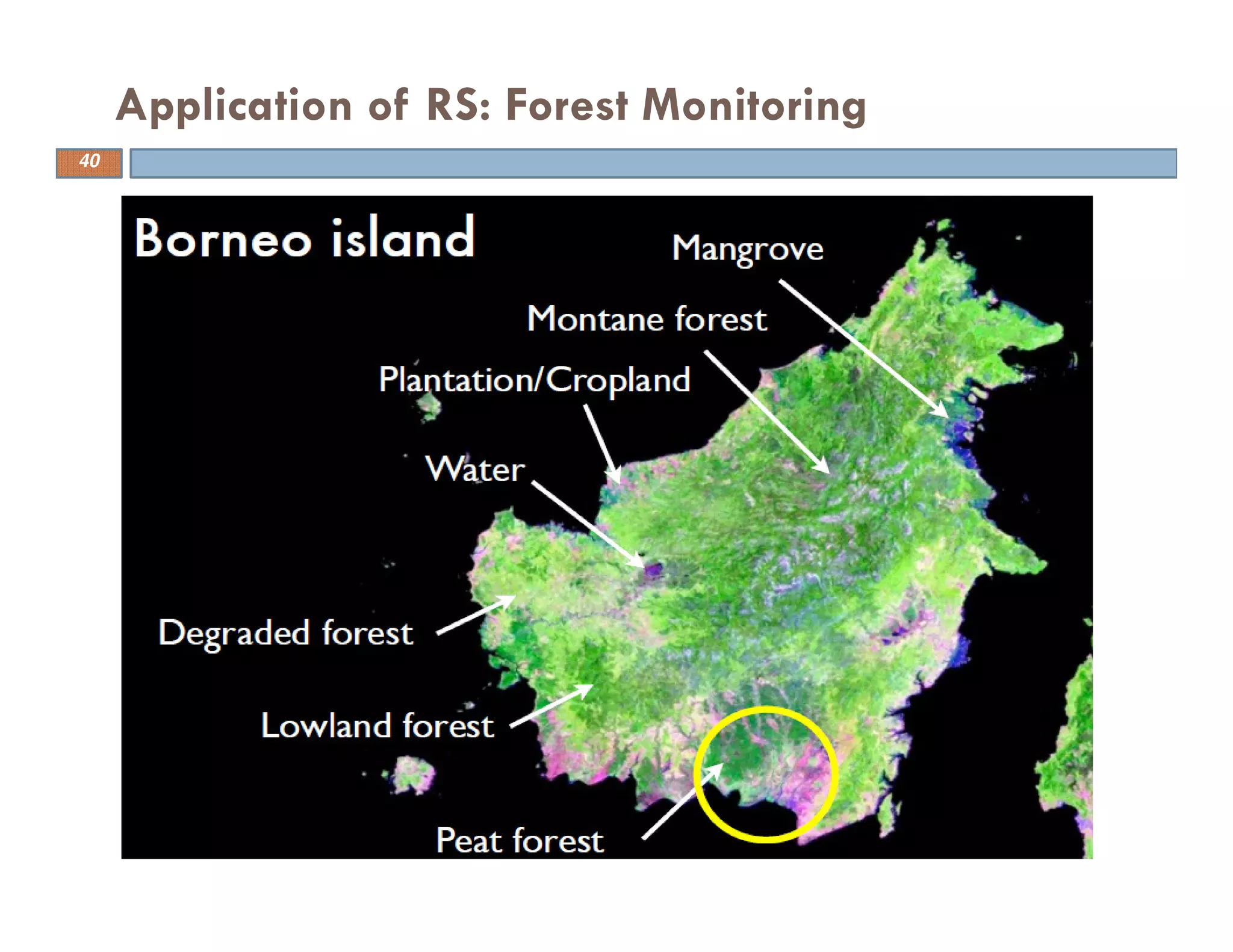 Application of RS: Forest Monitoring
40
 