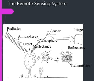 The Remote Sensing System
Radiation
Atmosphere
Target
Reflectance
Atmosphere
Sensor
Transmission
Reflectance
Image
 