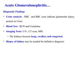 Swallloen Rbc Introduction to renal disorders best (2).pptx