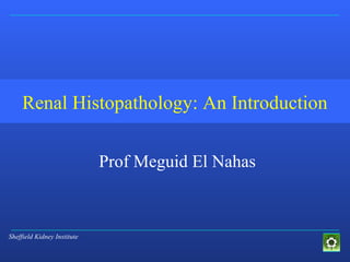 Sheffield Kidney Institute
Renal Histopathology: An Introduction
Prof Meguid El Nahas
 