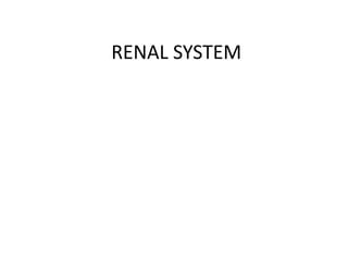 RENAL SYSTEM
 