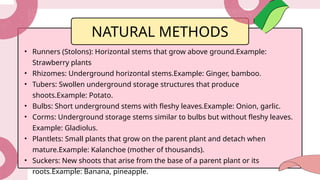 Plantlets Examples introduction to plant and animal reproduction.pptx