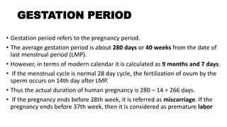 INTRODUCTION TO REPRODUCTIVE PHYSIOLOGY.pptx
