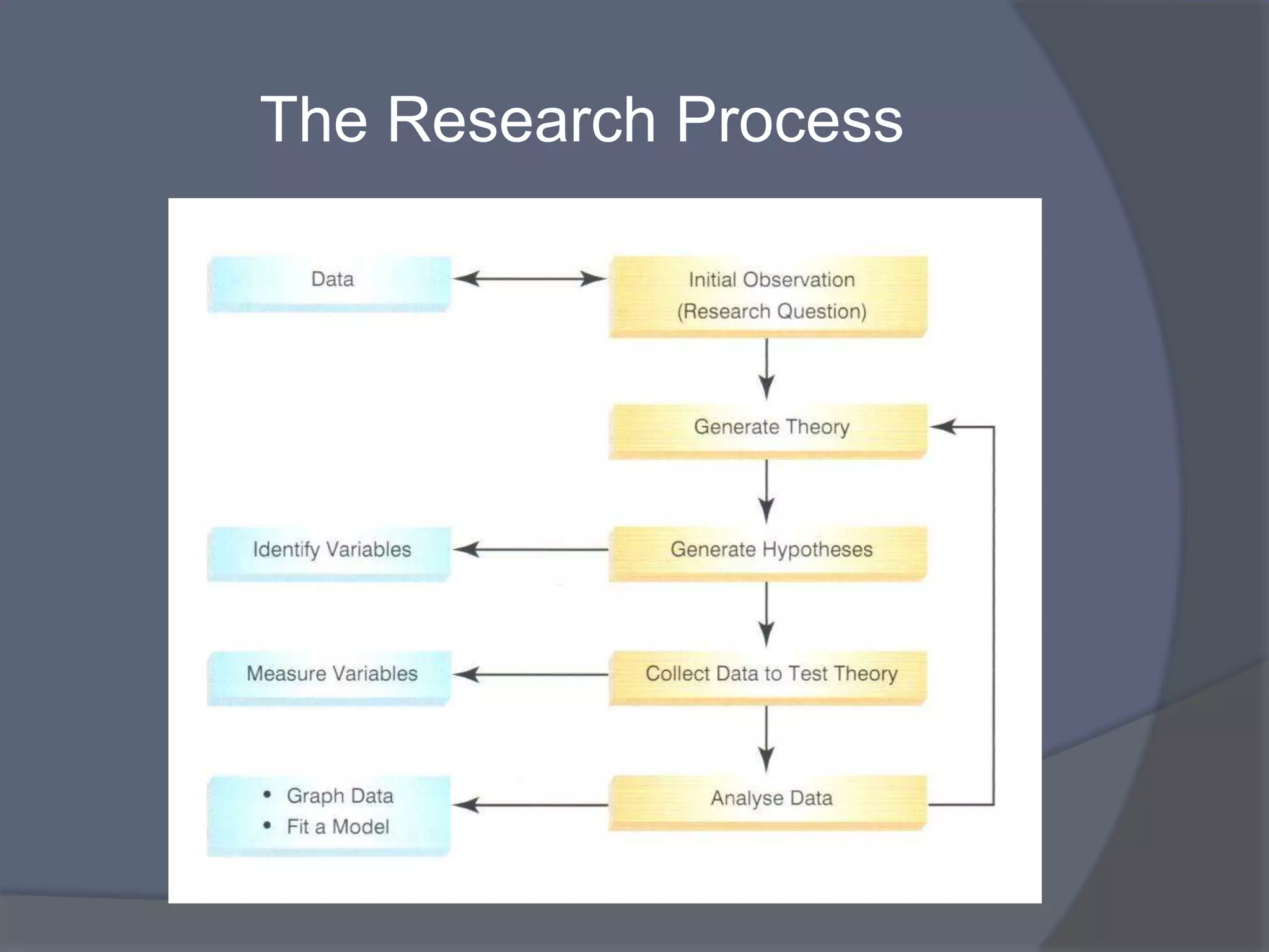 The Research Process
 