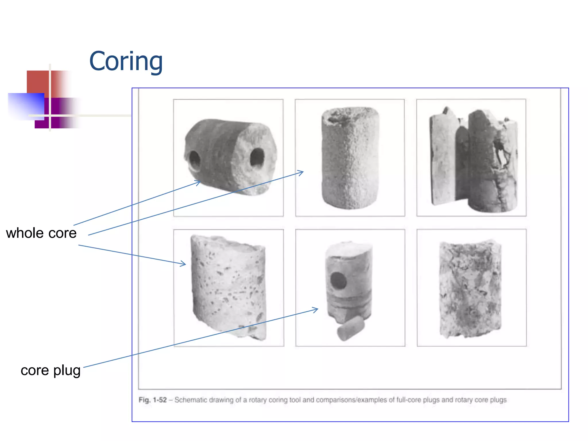 Coring 
whole core 
core plug 
 