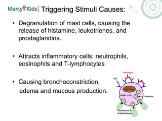 Triggering Stimuli Causes:
• Degranulation of mast cells, causing the
release of histamine, leukotrienes, and
prostaglandins.
• Attracts inflammatory cells: neutrophils,
eosinophils and T-lymphocytes
• Causing bronchoconstriction,
edema and mucous production.
 
