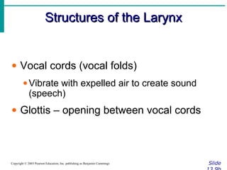 Structures of the LarynxStructures of the Larynx
SlideCopyright © 2003 Pearson Education, Inc. publishing as Benjamin Cummings
• Vocal cords (vocal folds)
•Vibrate with expelled air to create sound
(speech)
• Glottis – opening between vocal cords
 