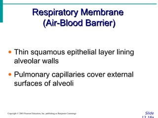 Respiratory MembraneRespiratory Membrane
(Air-Blood Barrier)(Air-Blood Barrier)
SlideCopyright © 2003 Pearson Education, Inc. publishing as Benjamin Cummings
• Thin squamous epithelial layer lining
alveolar walls
• Pulmonary capillaries cover external
surfaces of alveoli
 