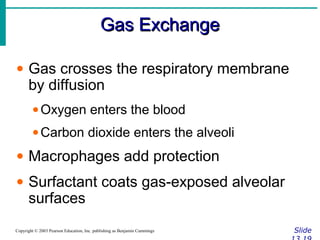 Gas ExchangeGas Exchange
SlideCopyright © 2003 Pearson Education, Inc. publishing as Benjamin Cummings
• Gas crosses the respiratory membrane
by diffusion
•Oxygen enters the blood
•Carbon dioxide enters the alveoli
• Macrophages add protection
• Surfactant coats gas-exposed alveolar
surfaces
 