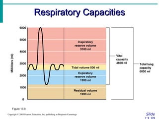 Respiratory CapacitiesRespiratory Capacities
SlideCopyright © 2003 Pearson Education, Inc. publishing as Benjamin Cummings
Figure 13.9
 