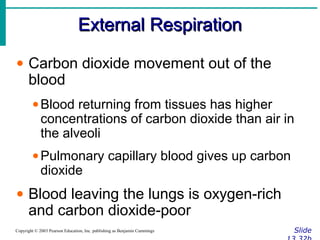 External RespirationExternal Respiration
SlideCopyright © 2003 Pearson Education, Inc. publishing as Benjamin Cummings
• Carbon dioxide movement out of the
blood
•Blood returning from tissues has higher
concentrations of carbon dioxide than air in
the alveoli
•Pulmonary capillary blood gives up carbon
dioxide
• Blood leaving the lungs is oxygen-rich
and carbon dioxide-poor
 