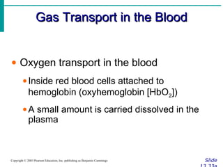 Gas Transport in the BloodGas Transport in the Blood
SlideCopyright © 2003 Pearson Education, Inc. publishing as Benjamin Cummings
• Oxygen transport in the blood
•Inside red blood cells attached to
hemoglobin (oxyhemoglobin [HbO2])
•A small amount is carried dissolved in the
plasma
 