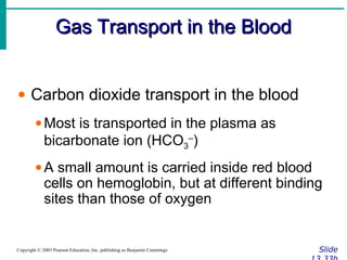 Gas Transport in the BloodGas Transport in the Blood
SlideCopyright © 2003 Pearson Education, Inc. publishing as Benjamin Cummings
• Carbon dioxide transport in the blood
•Most is transported in the plasma as
bicarbonate ion (HCO3
–
)
•A small amount is carried inside red blood
cells on hemoglobin, but at different binding
sites than those of oxygen
 