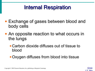 Internal RespirationInternal Respiration
SlideCopyright © 2003 Pearson Education, Inc. publishing as Benjamin Cummings
• Exchange of gases between blood and
body cells
• An opposite reaction to what occurs in
the lungs
•Carbon dioxide diffuses out of tissue to
blood
•Oxygen diffuses from blood into tissue
 