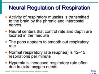 Neural Regulation of RespirationNeural Regulation of Respiration
SlideCopyright © 2003 Pearson Education, Inc. publishing as Benjamin Cummings
• Activity of respiratory muscles is transmitted
to the brain by the phrenic and intercostal
nerves
• Neural centers that control rate and depth are
located in the medulla
• The pons appears to smooth out respiratory
rate
• Normal respiratory rate (eupnea) is 12–15
respirations per minute
• Hypernia is increased respiratory rate often
due to extra oxygen needs
 