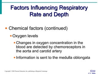 Factors Influencing RespiratoryFactors Influencing Respiratory
Rate and DepthRate and Depth
SlideCopyright © 2003 Pearson Education, Inc. publishing as Benjamin Cummings
• Chemical factors (continued)
•Oxygen levels
• Changes in oxygen concentration in the
blood are detected by chemoreceptors in
the aorta and carotid artery
• Information is sent to the medulla oblongata
 