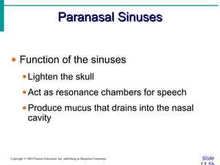 Paranasal SinusesParanasal Sinuses
SlideCopyright © 2003 Pearson Education, Inc. publishing as Benjamin Cummings
• Function of the sinuses
•Lighten the skull
•Act as resonance chambers for speech
•Produce mucus that drains into the nasal
cavity
 