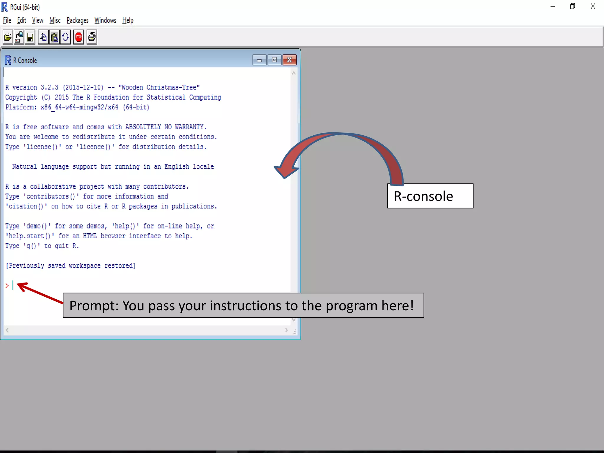 R-console
Prompt: You pass your instructions to the program here!