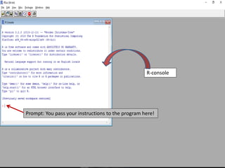 R-console
Prompt: You pass your instructions to the program here!
 