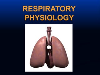 introduction to Respiratory system physiology and Anatomy- Copy lect1.pptx