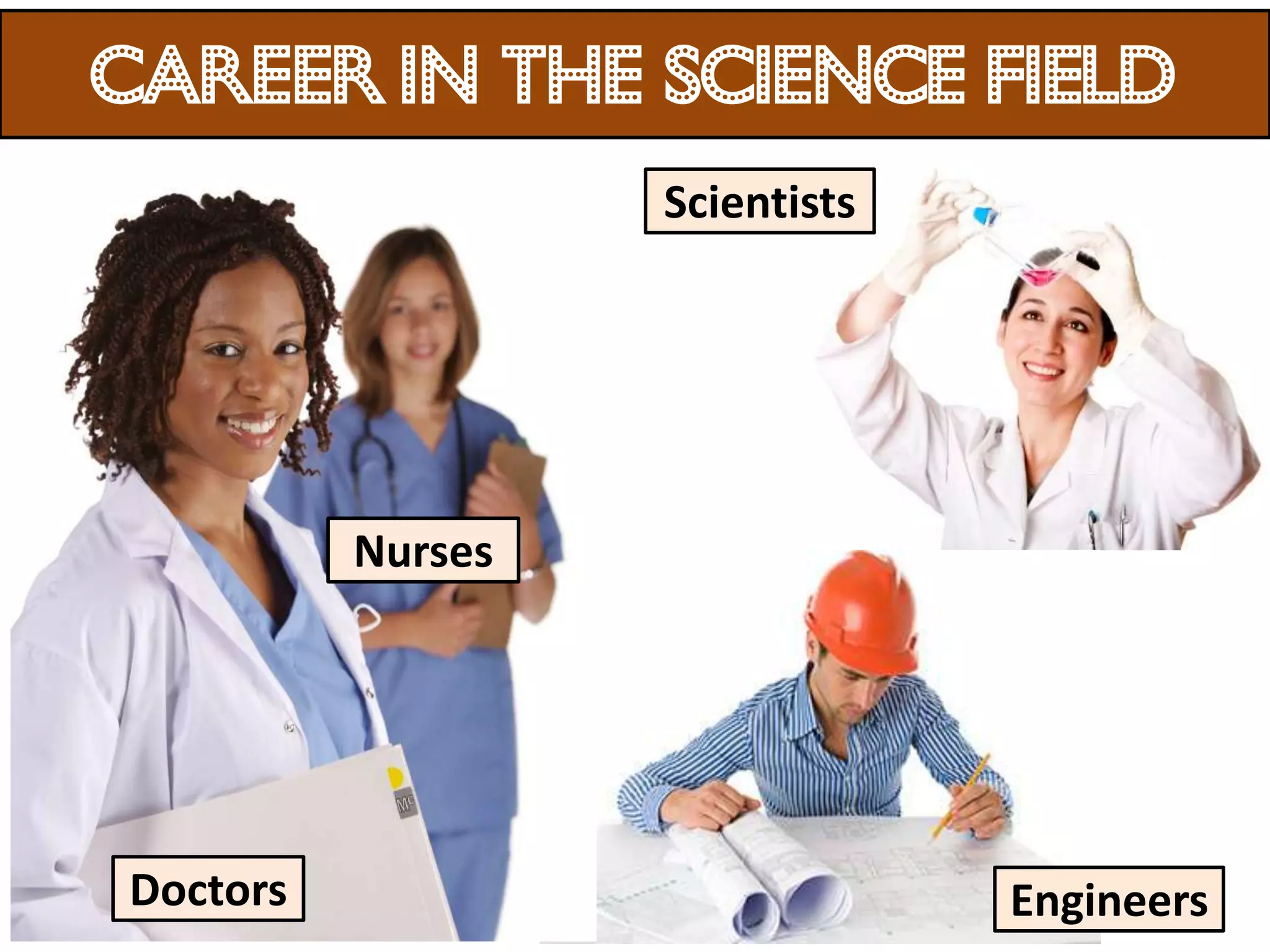 Career in the science field
                   Scientists




          Nurses




Doctors                         Engineers
 