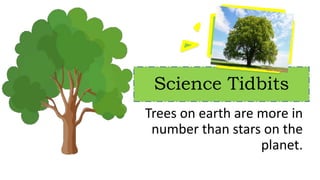 Science Tidbits
Trees on earth are more in
number than stars on the
planet.
 