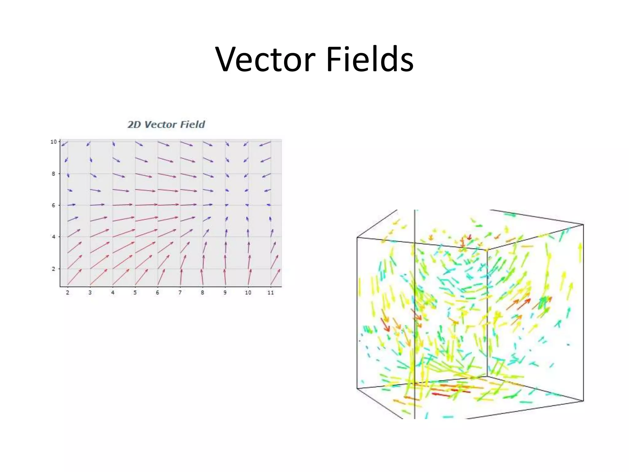 Vector Fields