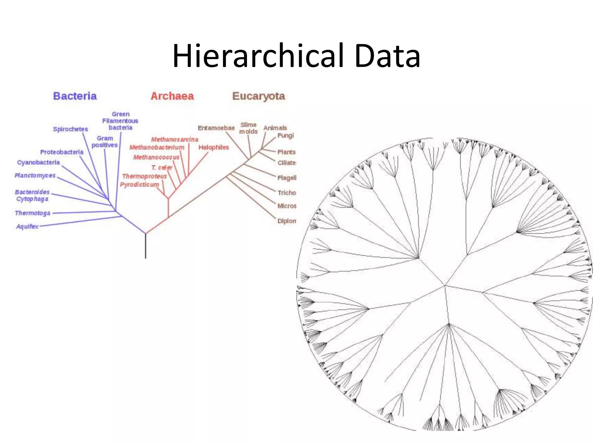 Hierarchical Data