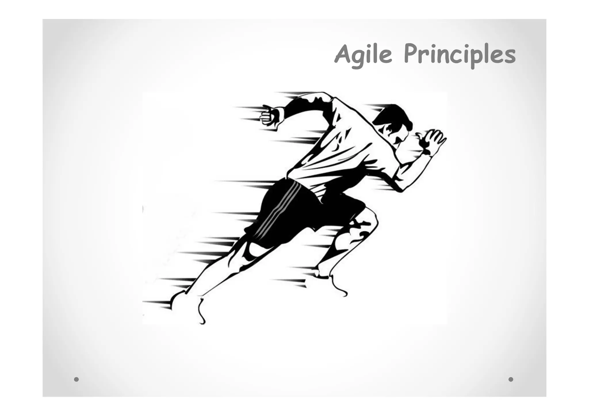 Agile Principles
 