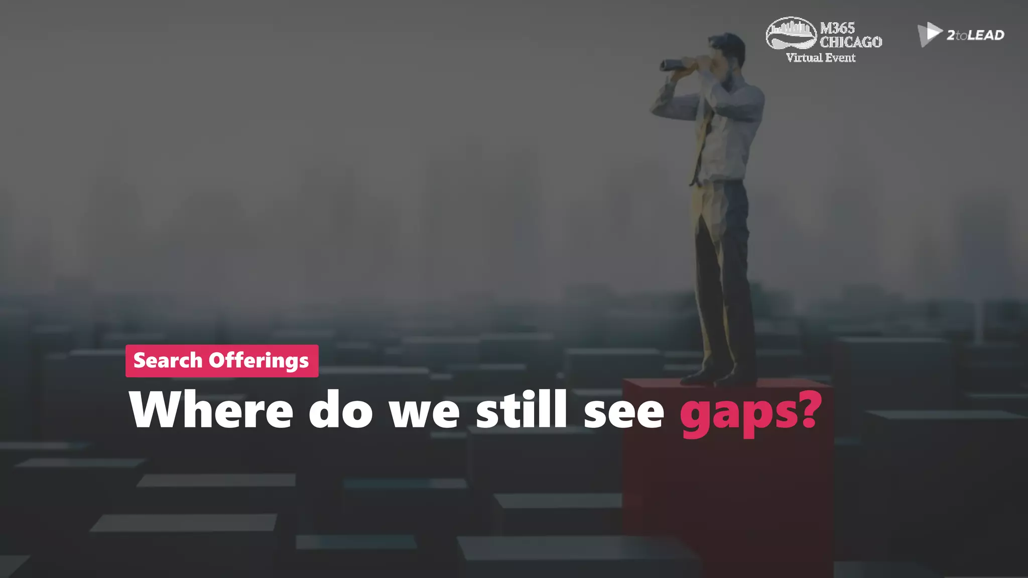 Where do we still see gaps?
Search Offerings
 