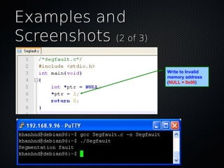Introduction to segmentation fault handling | PDF
