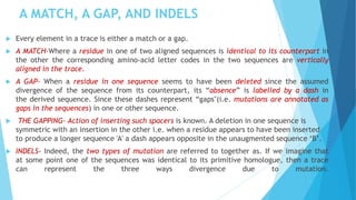 A MATCH, A GAP, AND INDELS
 Every element in a trace is either a match or a gap.
 A MATCH-Where a residue in one of two aligned sequences is identical to its counterpart in
the other the corresponding amino-acid letter codes in the two sequences are vertically
aligned in the trace.
 A GAP- When a residue in one sequence seems to have been deleted since the assumed
divergence of the sequence from its counterpart, its “absence” is labelled by a dash in
the derived sequence. Since these dashes represent “gaps"(i.e. mutations are annotated as
gaps in the sequences) in one or other sequence.
 THE GAPPING- Action of inserting such spacers is known. A deletion in one sequence is
symmetric with an insertion in the other i.e. when a residue appears to have been inserted
to produce a longer sequence 'A' a dash appears opposite in the unaugmented sequence ‘B’.
 INDELS- Indeed, the two types of mutation are referred to together as. If we imagine that
at some point one of the sequences was identical to its primitive homologue, then a trace
can represent the three ways divergence due to mutation.
 