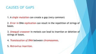 CAUSES OF GAPS
1. A single mutation can create a gap (very common)
2. Error in DNA replication can result in the repetition of strings of
bases.
3. Unequal crossover in meiosis can lead to insertion or deletion of
strings of bases.
4. Translocation of DNA between chromosomes.
5. Retrovirus insertion.
 