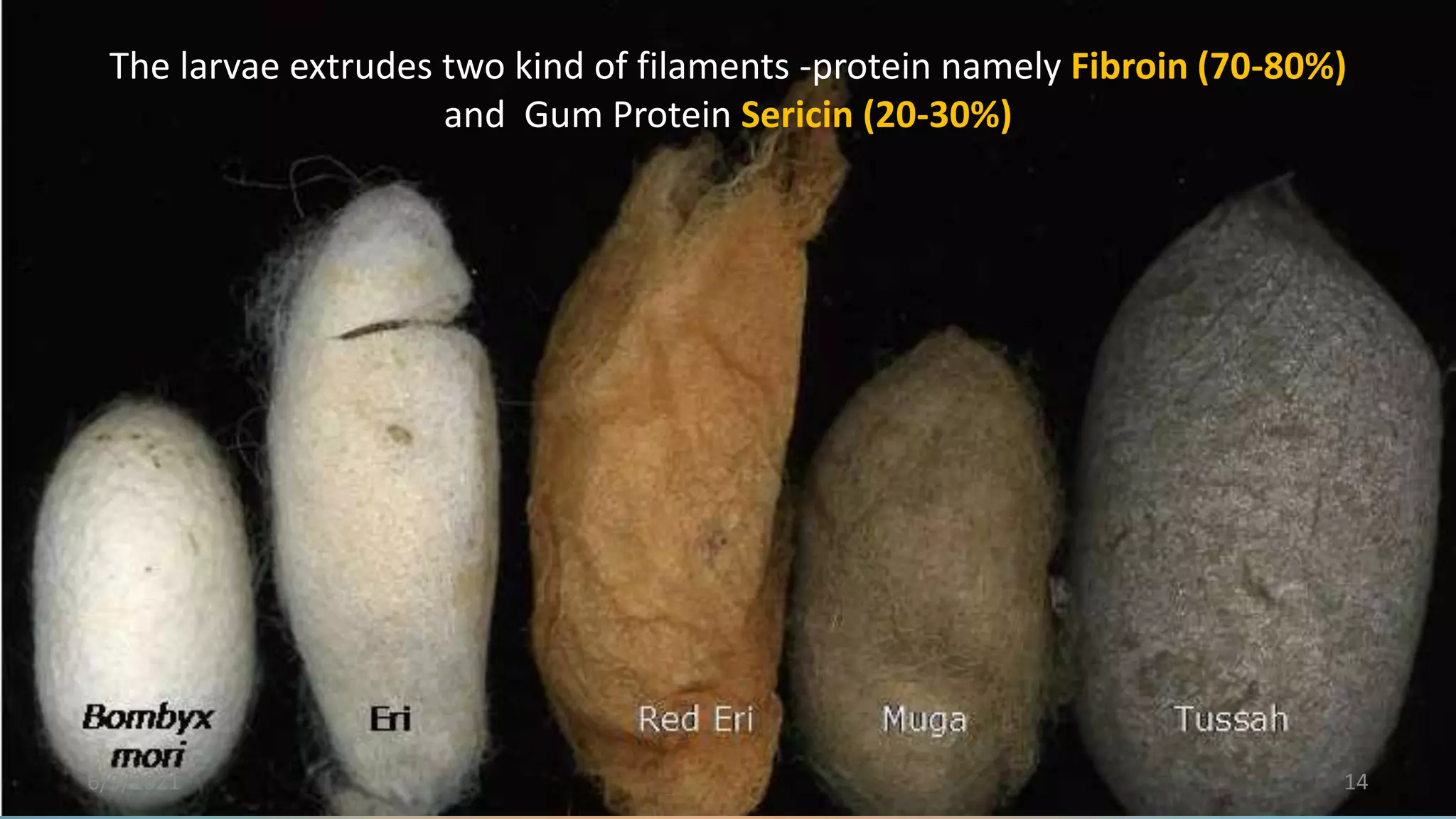 Lifecycle Silkworm
The larvae extrudes two kind of filaments -protein namely Fibroin (70-80%)
and Gum Protein Sericin (20-30%)
14
6/9/2021
 