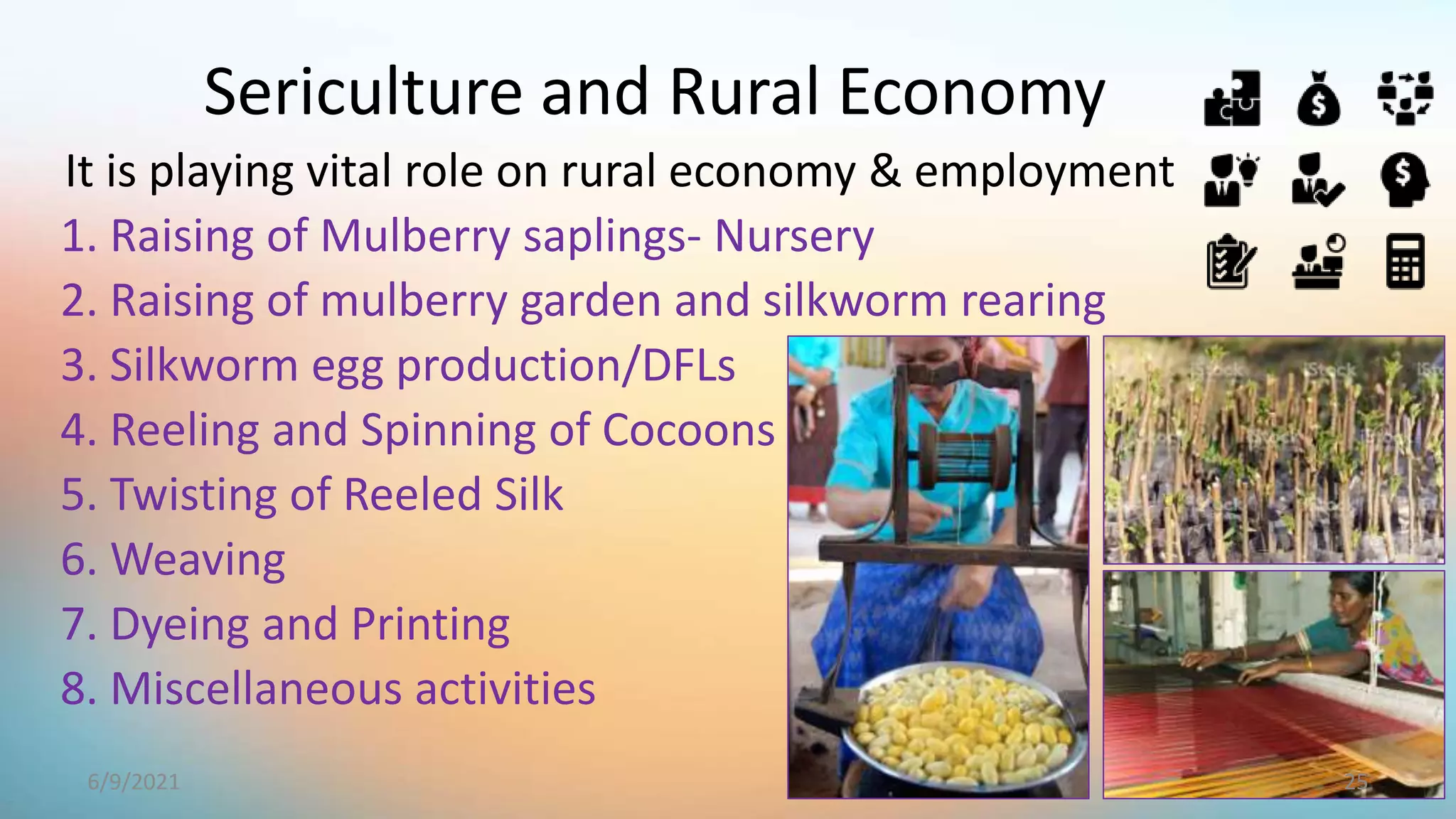 It is playing vital role on rural economy & employment
1. Raising of Mulberry saplings- Nursery
2. Raising of mulberry garden and silkworm rearing
3. Silkworm egg production/DFLs
4. Reeling and Spinning of Cocoons
5. Twisting of Reeled Silk
6. Weaving
7. Dyeing and Printing
8. Miscellaneous activities
Sericulture and Rural Economy
25
6/9/2021
 