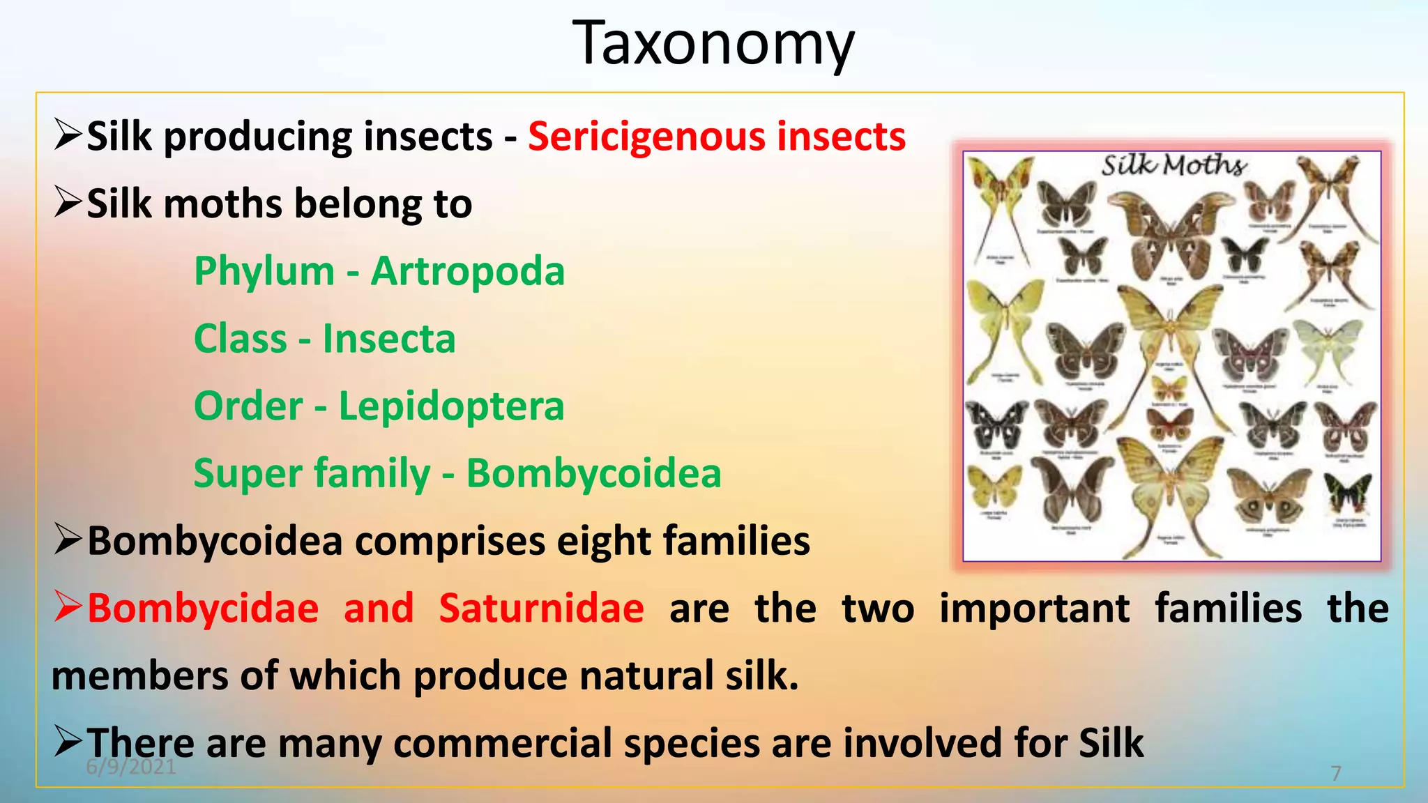Taxonomy
Silk producing insects - Sericigenous insects
Silk moths belong to
Phylum - Artropoda
Class - Insecta
Order - Lepidoptera
Super family - Bombycoidea
Bombycoidea comprises eight families
Bombycidae and Saturnidae are the two important families the
members of which produce natural silk.
There are many commercial species are involved for Silk
7
6/9/2021
 