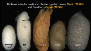 Lifecycle Silkworm
The larvae extrudes two kind of filaments -protein namely Fibroin (70-80%)
and Gum Protein Sericin (20-30%)
14
6/9/2021
 