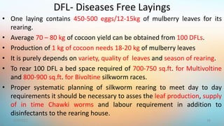 • One laying contains 450-500 eggs/12-15kg of mulberry leaves for its
rearing.
• Average 70 – 80 kg of cocoon yield can be obtained from 100 DFLs.
• Production of 1 kg of cocoon needs 18-20 kg of mulberry leaves
• It is purely depends on variety, quality of leaves and season of rearing.
• To rear 100 DFL a bed space required of 700-750 sq.ft. for Multivoltine
and 800-900 sq.ft. for Bivoltine silkworm races.
• Proper systematic planning of silkworm rearing to meet day to day
requirements it should be necessary to asses the leaf production, supply
of in time Chawki worms and labour requirement in addition to
disinfectants to the rearing house.
DFL- Diseases Free Layings
16
6/9/2021
 