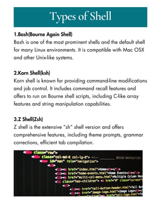 Introduction to Shell Scripting: All About It | PDF | Free Download
