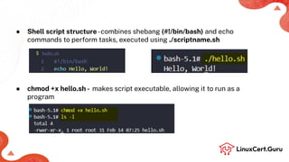 Introduction to Shell Scripting - RHCSA+.pdf