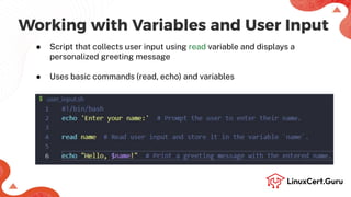 Introduction to Shell Scripting - RHCSA+.pdf