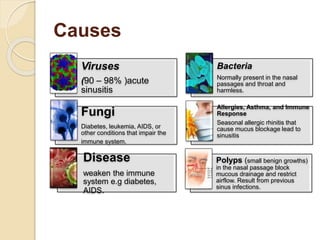 Causes
Viruses
(90 – 98% )acute
sinusitis
Bacteria
Normally present in the nasal
passages and throat and
harmless.
Fungi
Diabetes, leukemia, AIDS, or
other conditions that impair the
immune system.
Allergies, Asthma, and Immune
Response
Seasonal allergic rhinitis that
cause mucus blockage lead to
sinusitis
Disease
weaken the immune
system e.g diabetes,
AIDS.
Polyps (small benign growths)
in the nasal passage block
mucous drainage and restrict
airflow. Result from previous
sinus infections.
 
